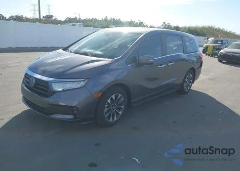 2024 Honda Odyssey Ex-L z USA, uszkodzony, nr VIN 5FNRL6H60RB068646